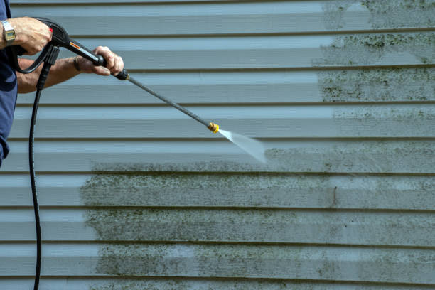 Best Best Pressure Washing Companies  in Passapatanzy, VA